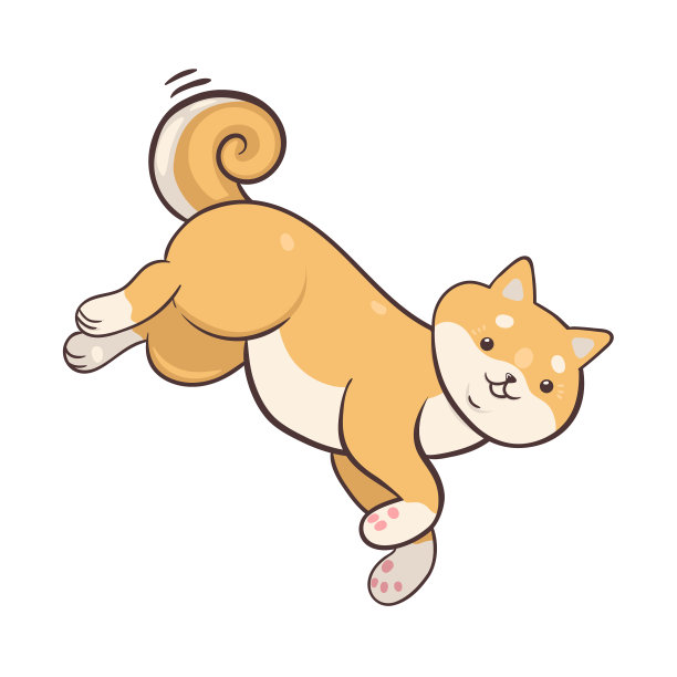 柴犬品种的狗孤立在白色的背景图片下载