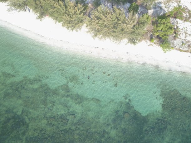沙滩和大海图片下载