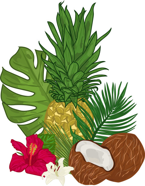 热带的花束图片下载