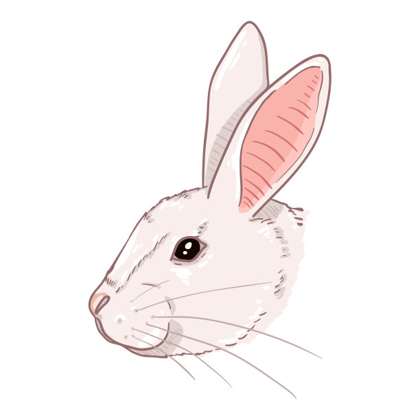 卡通兔子头图片下载