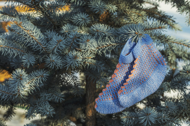 在白雪覆盖的松枝上手工编织的袜子。图片下载