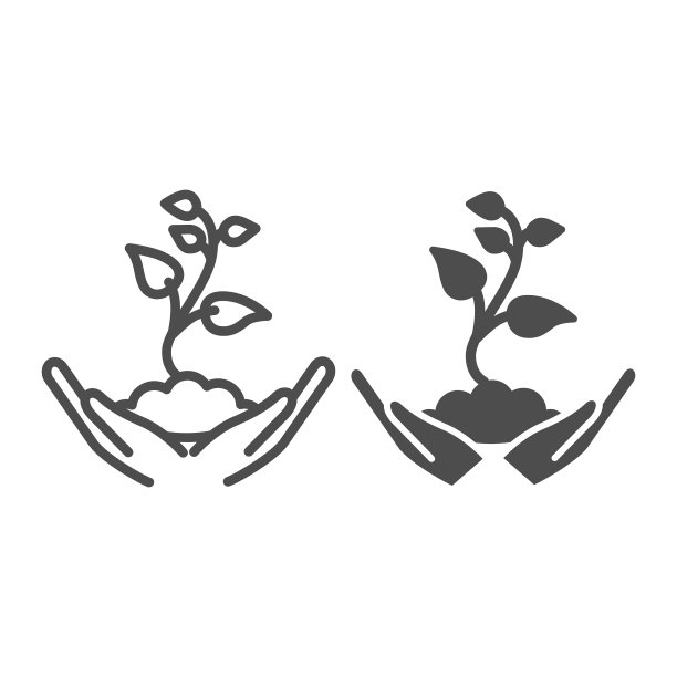 幼芽，在土壤中抚育图片下载