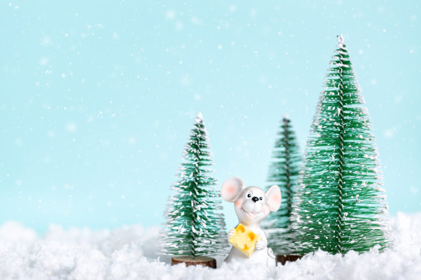 新年树上的雪在蓝色纸的背景。冬天的假期。圣诞节图片下载