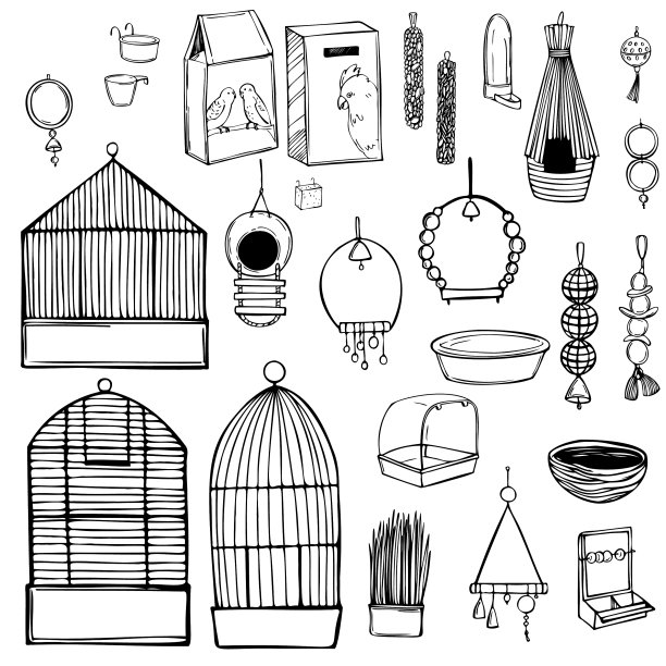 手绘鹦鹉的东西设置玩具，食物和宠物图片下载