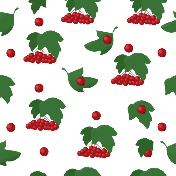 grona浆果荚莲属的植物图片下载