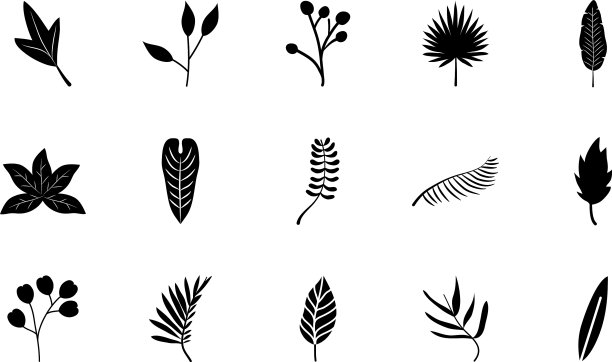 图标设置热带树叶和棕榈叶图片下载