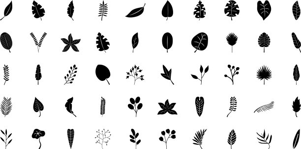 热带树叶图标设置剪影风格图片下载