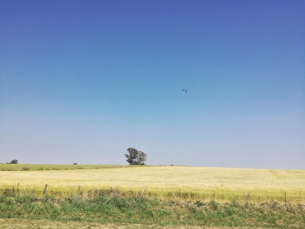 道路景观图片下载