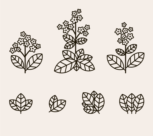 烟叶图标设置。收藏图标烟草。向量图片下载