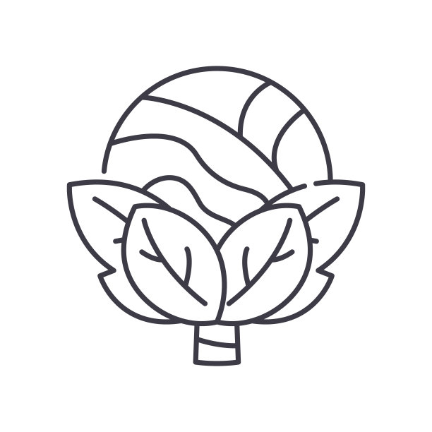新鲜卷心菜图标，线性孤立的插图，细线矢量，网页设计标志，轮廓概念符号与可编辑的笔触在白色的背景。图片下载