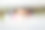 一个女孩的肖像在森林里与美丽的散景。图片下载