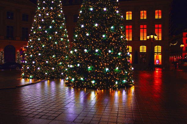 巴黎街头的两棵圣诞树图片下载