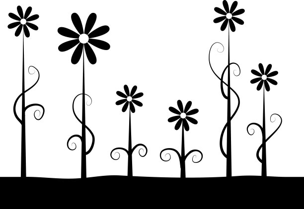 向量雏菊花背景图片下载