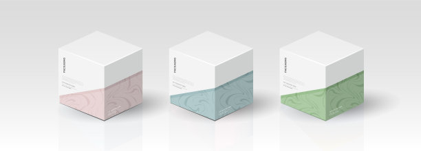 用于产品设计的包装盒模板图片下载