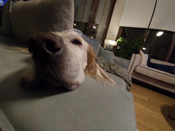 英语设置器图片下载