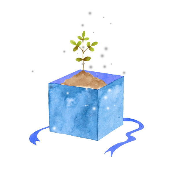 盒子里的绿色植物图片下载