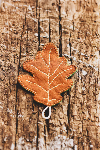 木制背景上的橡树叶。手工制作的秋叶之静美。感觉离开图片下载