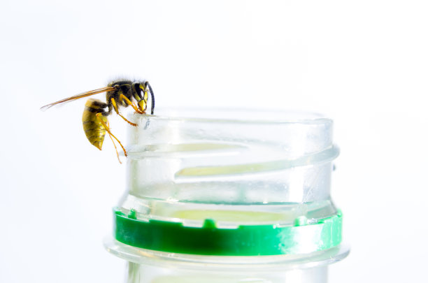 柠檬水黄蜂打开柠檬水瓶子的特写图片下载