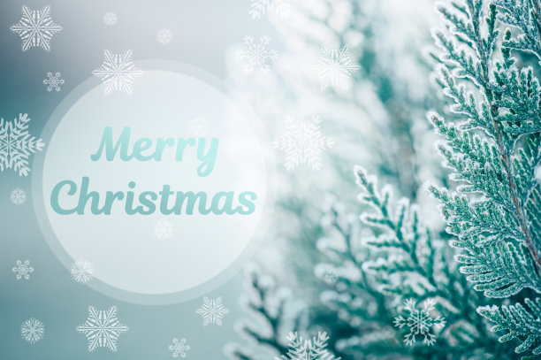 在初升的太阳的等高光下，杜嘉的树枝上覆盖着一层霜。圣诞快乐题词在圆形半透明背景上的雪花。圣诞贺卡的概念图片下载