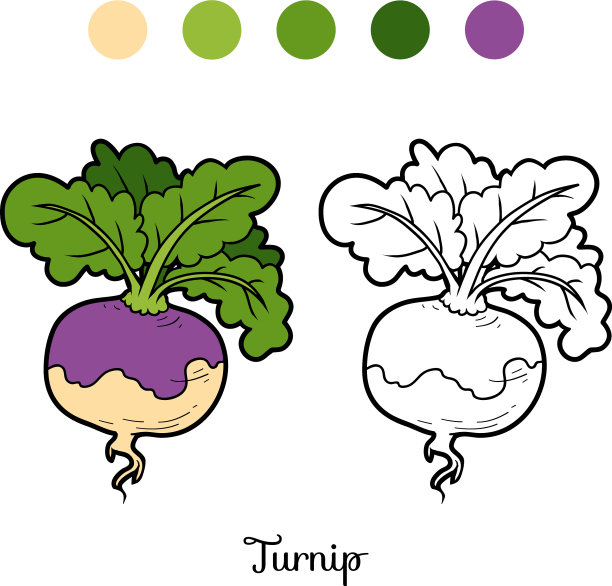 涂色书蔬菜萝卜图片下载