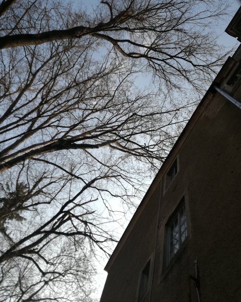 到天空图片下载