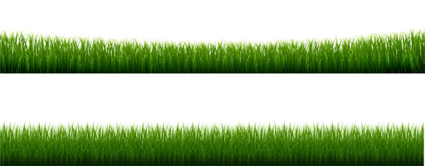 收集草边透明背景图片下载