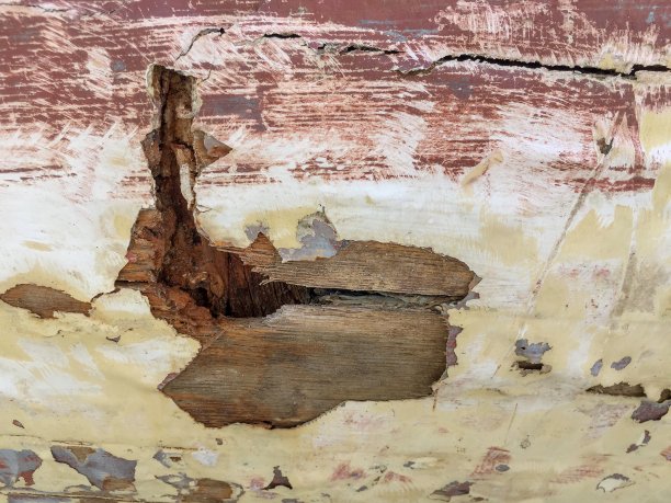 抽象的背景图片下载