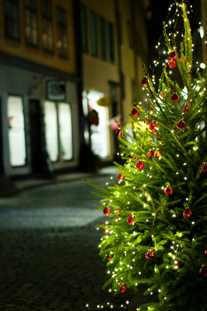 瑞典斯德哥尔摩市老城的圣诞树图片下载