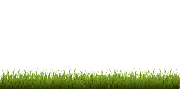 草边孤立白色背景图片下载