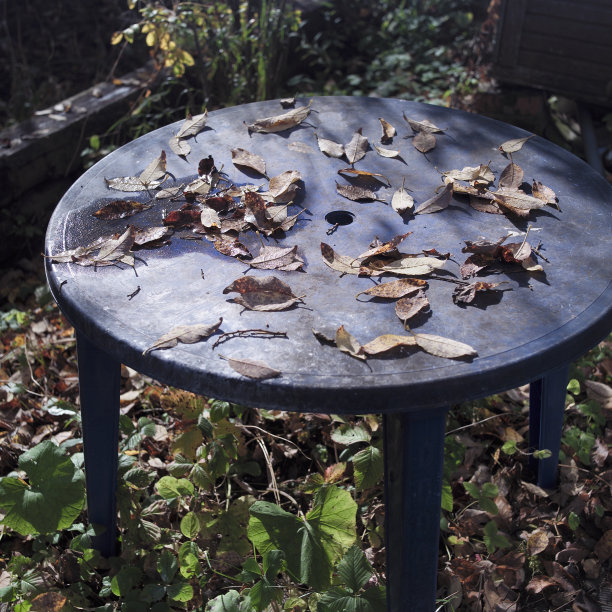 塑料花园表图片下载