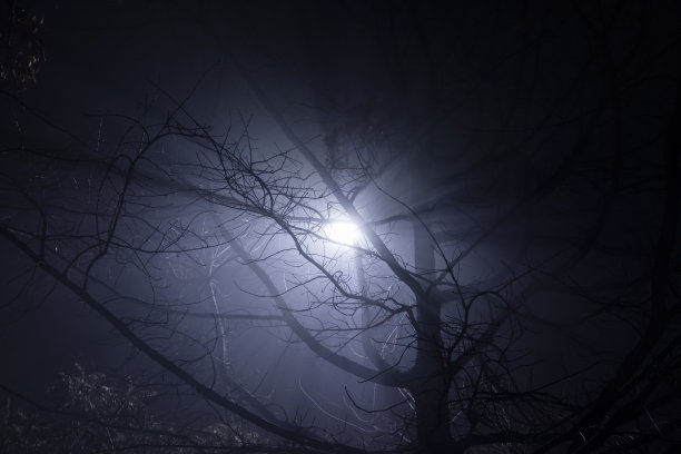 灯柱在雾中透过树枝闪烁。雾天夜里街灯的光芒。浓雾。图片下载