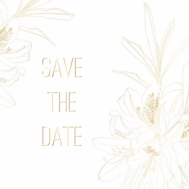 手绘的夏日金花与杜鹃花。手绘鲜花卡片模板上的白色背景。图片下载