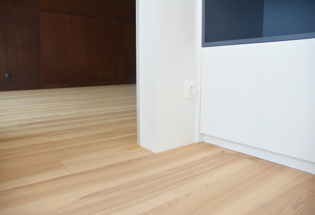 一个特写电插座，插座安装在门口靠近木地板，在地板的低高度。图片下载