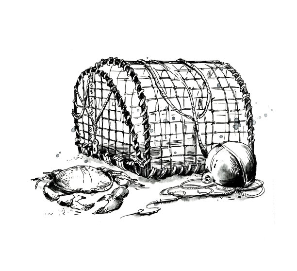 龙虾和螃蟹手绘墨水插图图片下载