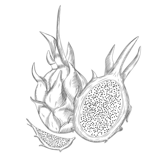 把红色的火龙果单独放在白色的上面图片下载