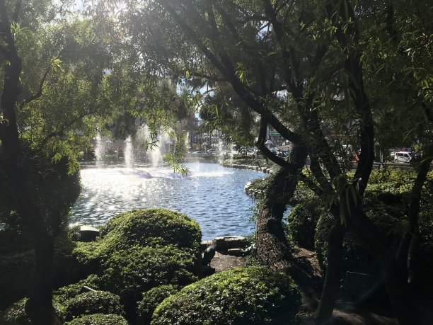 拉斯维加斯的喷泉图片下载