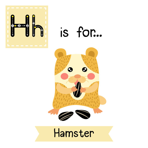 字母h描画仓鼠吃葵花籽图片下载