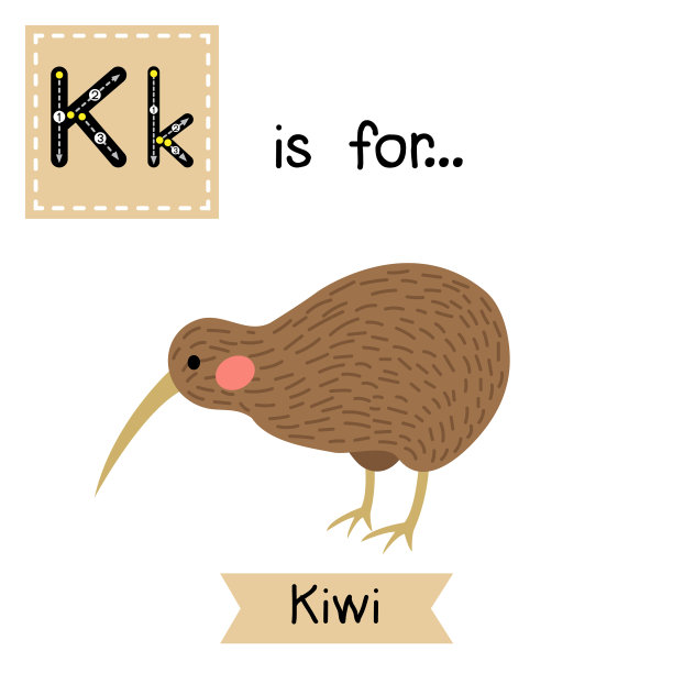 字母k描摹几维鸟图片下载