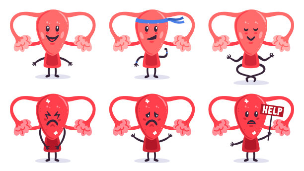 可爱的子宫字符。健康和生病的女性子宫器官吉祥物。女性生殖系统人物与面部情绪矢量插图图片下载