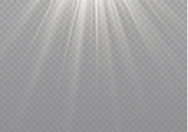 白色的阳光。图片下载