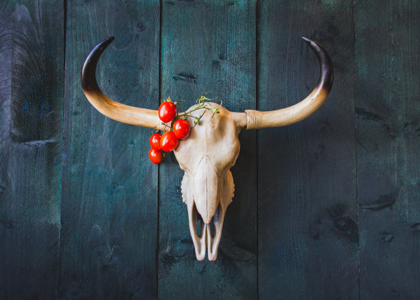 牛头骨，角上有西红柿。深色木质背景，文字空间。黄道十二宫金牛，东方星座牛，象征2021年，历法，健康新年概念。图片下载