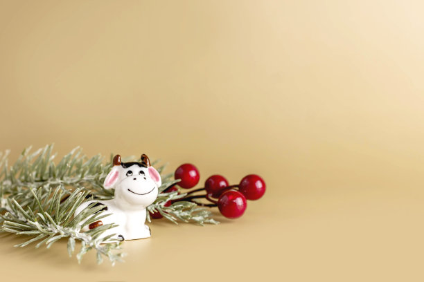 公牛象征2021年新年。陶瓷小白公牛与树枝圣诞树在蜡笔背景。副本的空间。图片下载