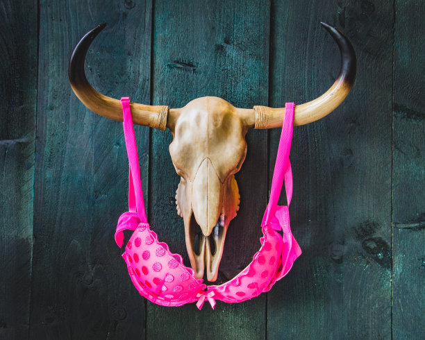 公牛头骨与粉红色胸罩的角上，在一个深色纹理的木制背景。图片下载