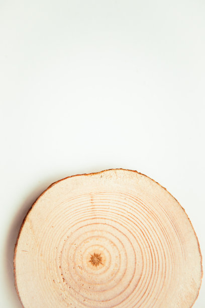 木刻，圆形，白色背景。圆木锯切。文本复制空间图片下载