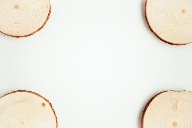 四个木刻，圆形的白色背景。圆木锯切。文本复制空间图片下载