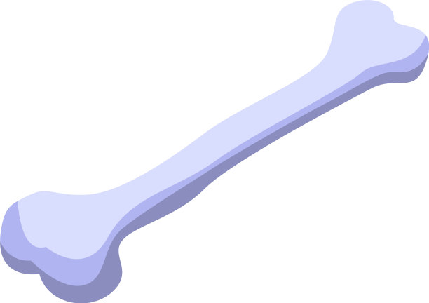 狗训练骨图标等距样式图片下载