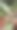 新冠肺炎时代的种植图片下载