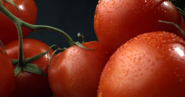西红柿罐头。几串新鲜的西红柿。水滴在新鲜的西红柿上图片下载