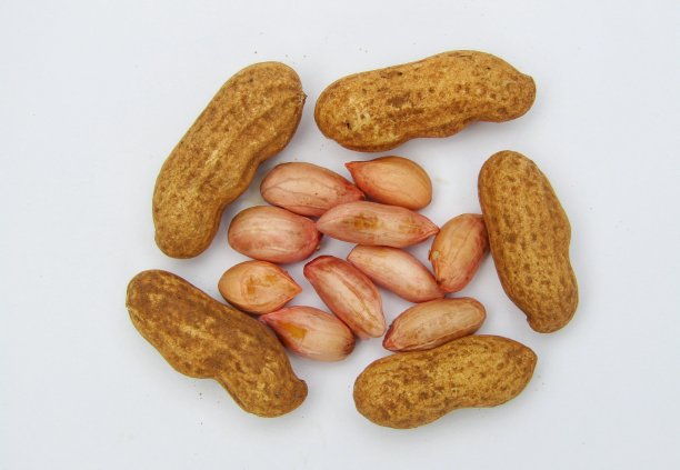 白底花生，花生库存照片图片下载