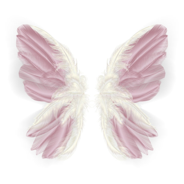 蝴蝶有羽毛的翅膀。现代抽象艺术金粉羽毛。图片下载